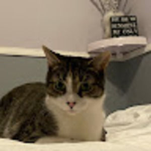 Meet your Posher, Alvarez